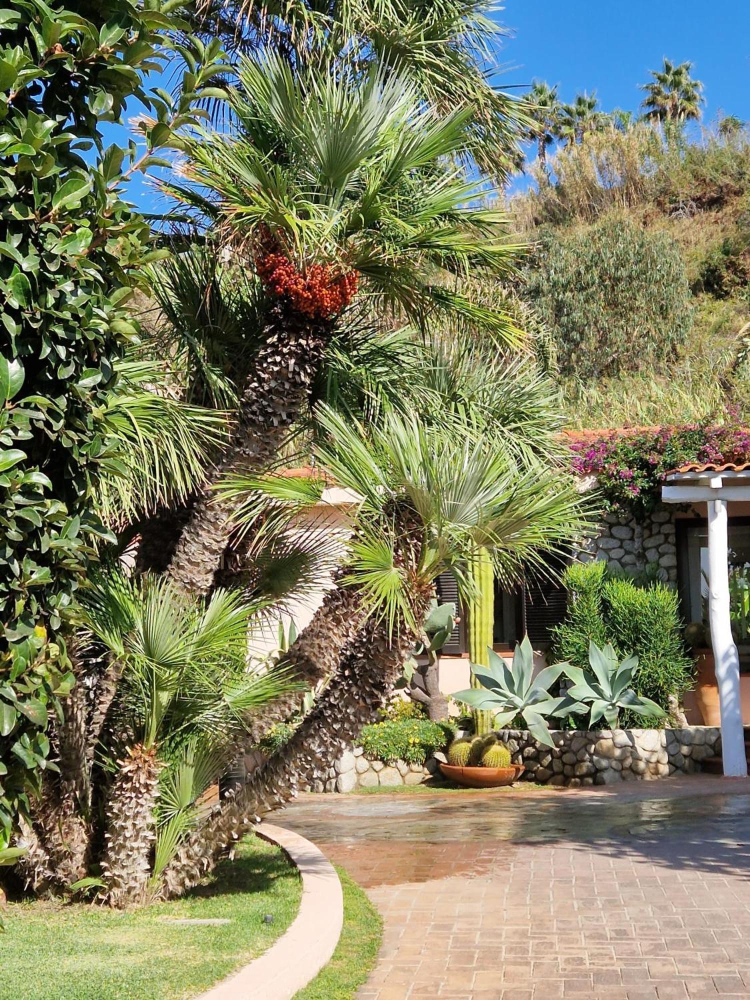 Hotel Villaggio Cala Di Volpe Капо-Ватикано Экстерьер фото